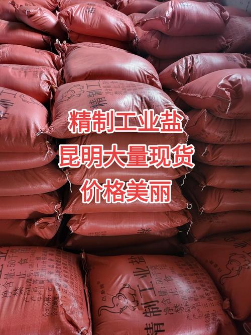 聚焦热门话题 云南工业盐、精制工业盐、软水盐与海盐厂家全解析